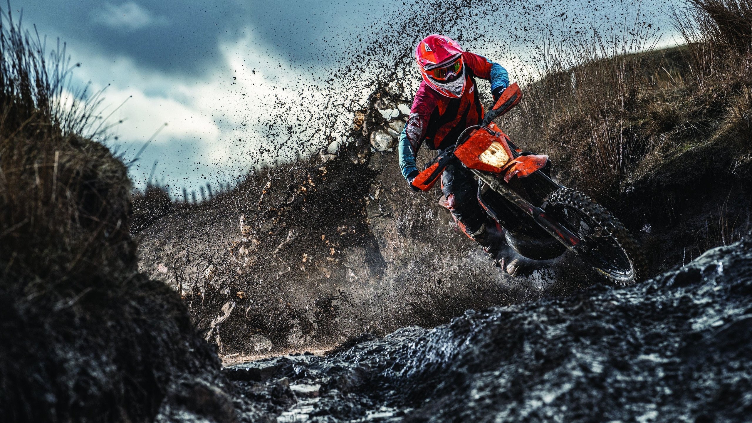 四川金强团队协作日渐成熟，四川金强总经理