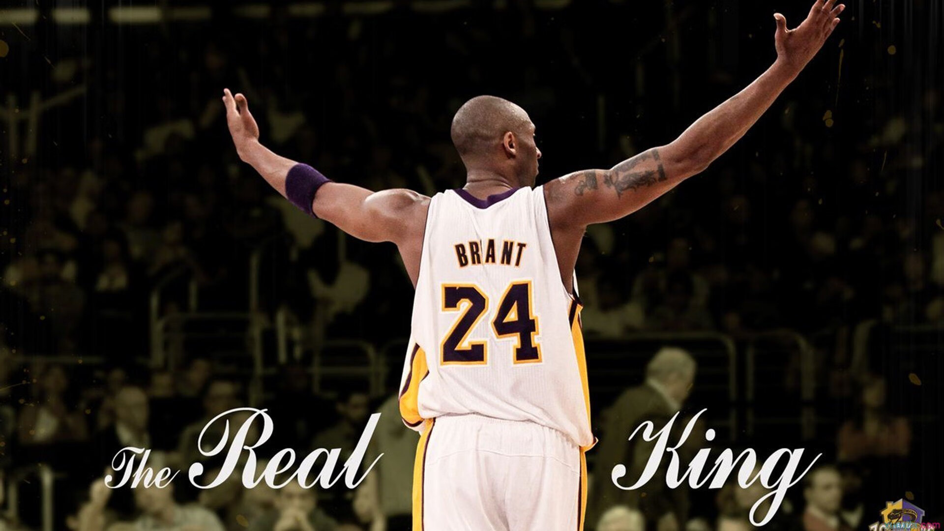 篮球青少年比赛规则创新推广，青少年篮球赛事推广